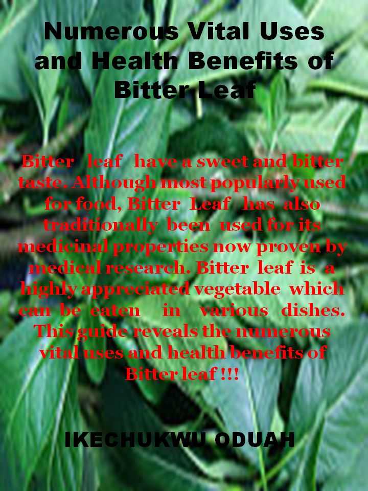 blue tea plant Premium Blue Butterfly Pea Flower Tea by JUNGLE STING – Brown Living™